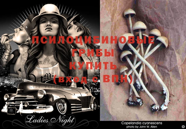 бутират Нягань