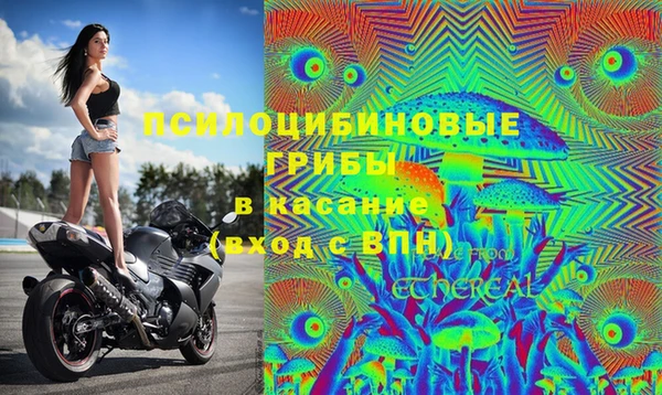 бутират Нягань