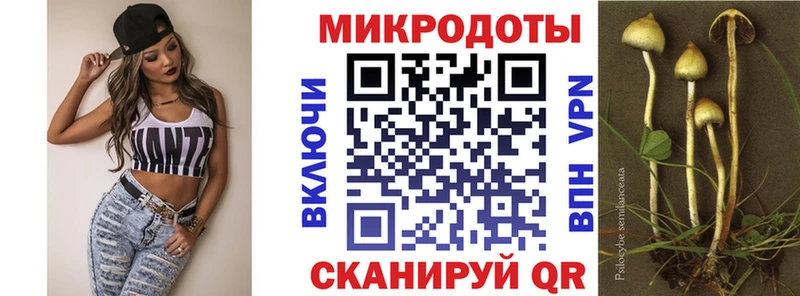 Псилоцибиновые грибы MAGIC MUSHROOMS  Купить  Яранск 